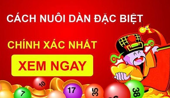 cách bắt lô theo tổng đặc biệt chính xác cao 2025