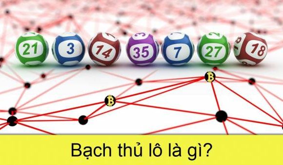 bạch thủ lô là gì – các phương pháp bắt bạch thủ lô
