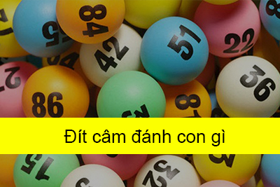 đít câm đánh con gì? kinh nghiệm chơi lô đề hiệu quả khi đít câm